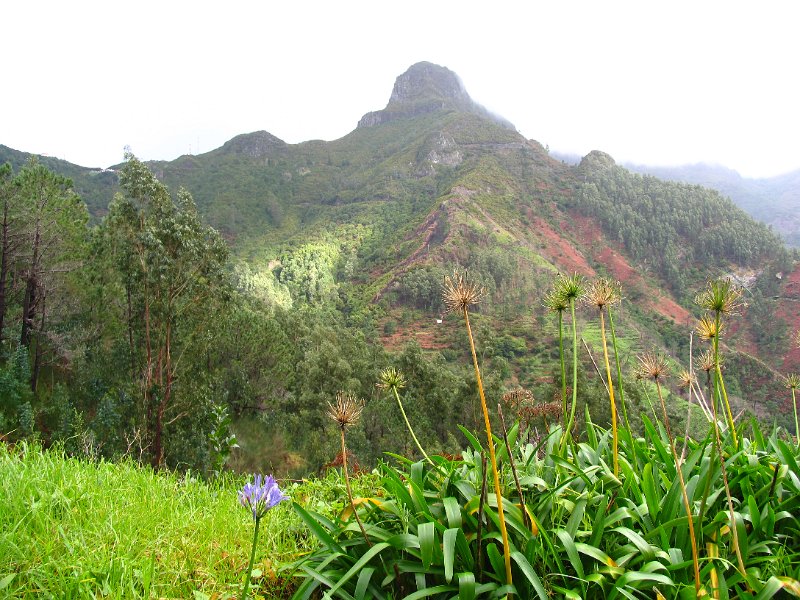 Madeira (170).jpg